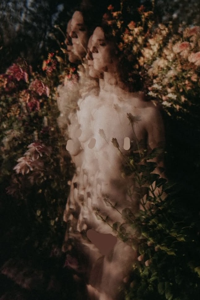 Exposition au Château de Vassy Brécey; Normandie, Manche, à côté du Mont-Saint-Michel